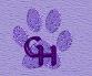 Welcome to Grandview Havanese